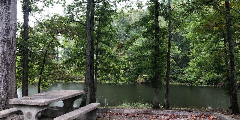 Camper submitted image from Twin Forks County Park and Campground