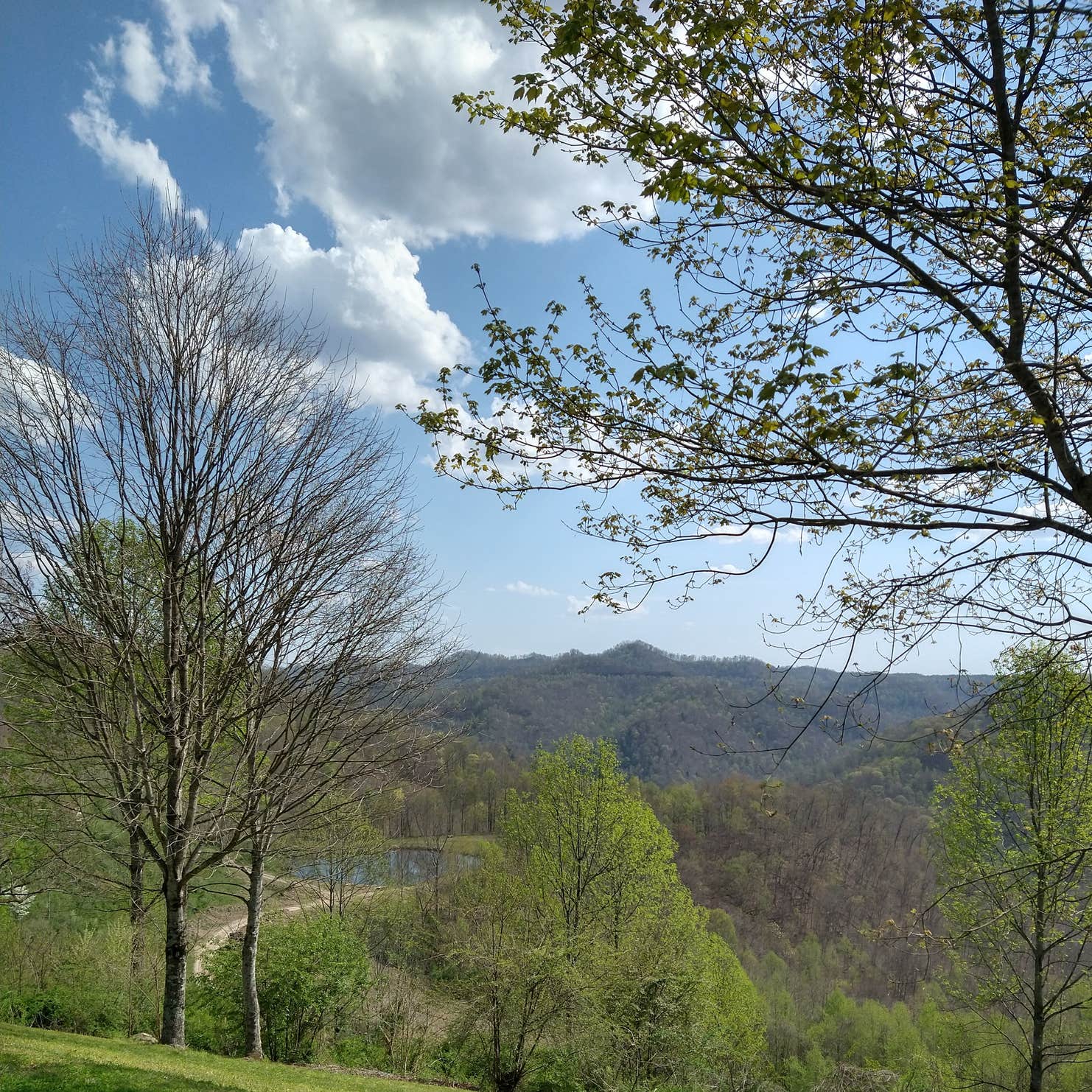 Twin Hollow Campground and Cabins Gilbert, WV