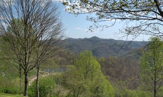 Camping near Backwoods Camping & RV Park: Twin Hollow Campground and Cabins, Gilbert, West Virginia