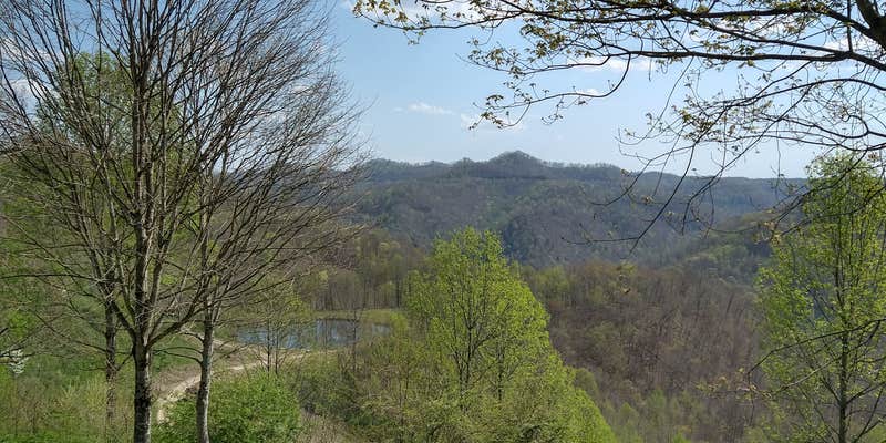 Camper submitted image from Twin Hollow Campground and Cabins