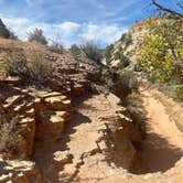 Review photo of Twin Hollows Canyon by Tracy T., October 16, 2023