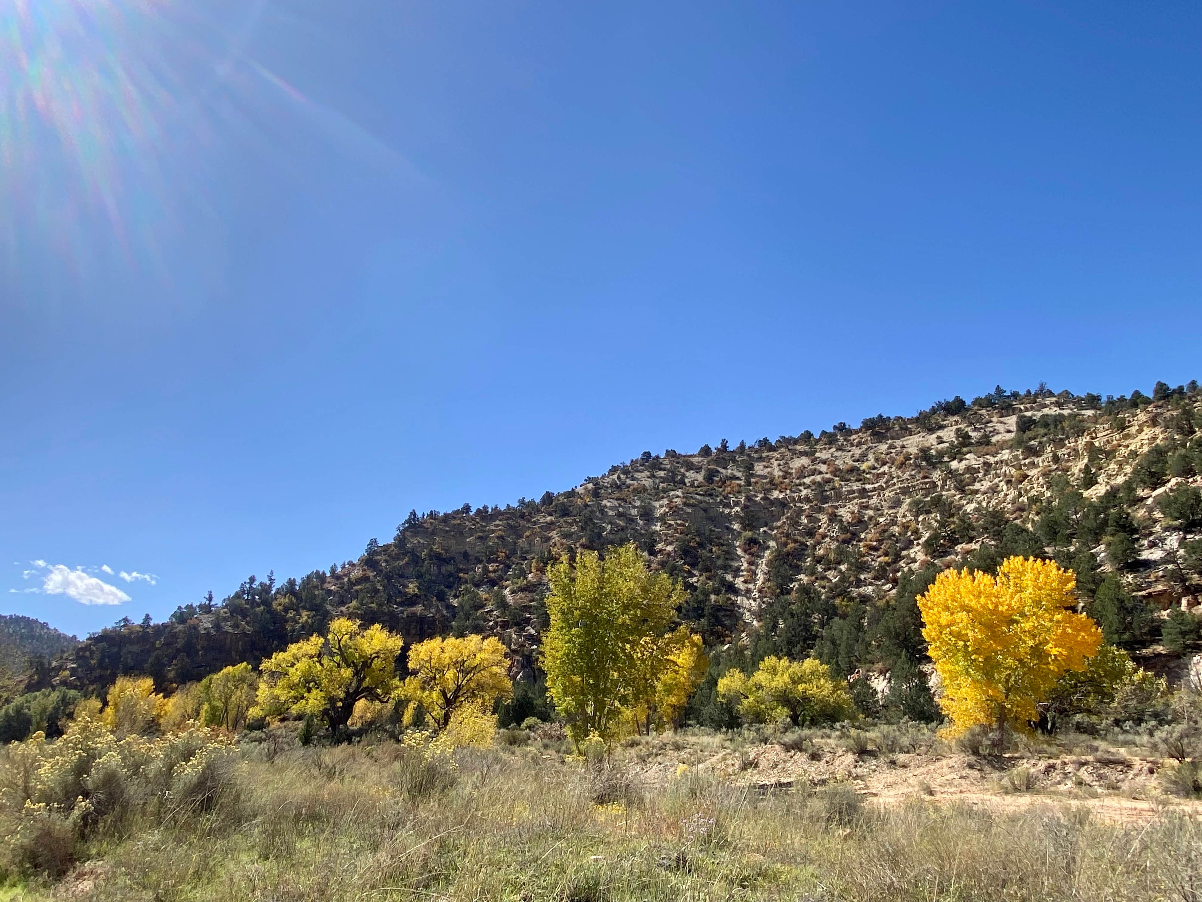 Camper-submitted photo at Twin Hollows Canyon near Parowan, UT