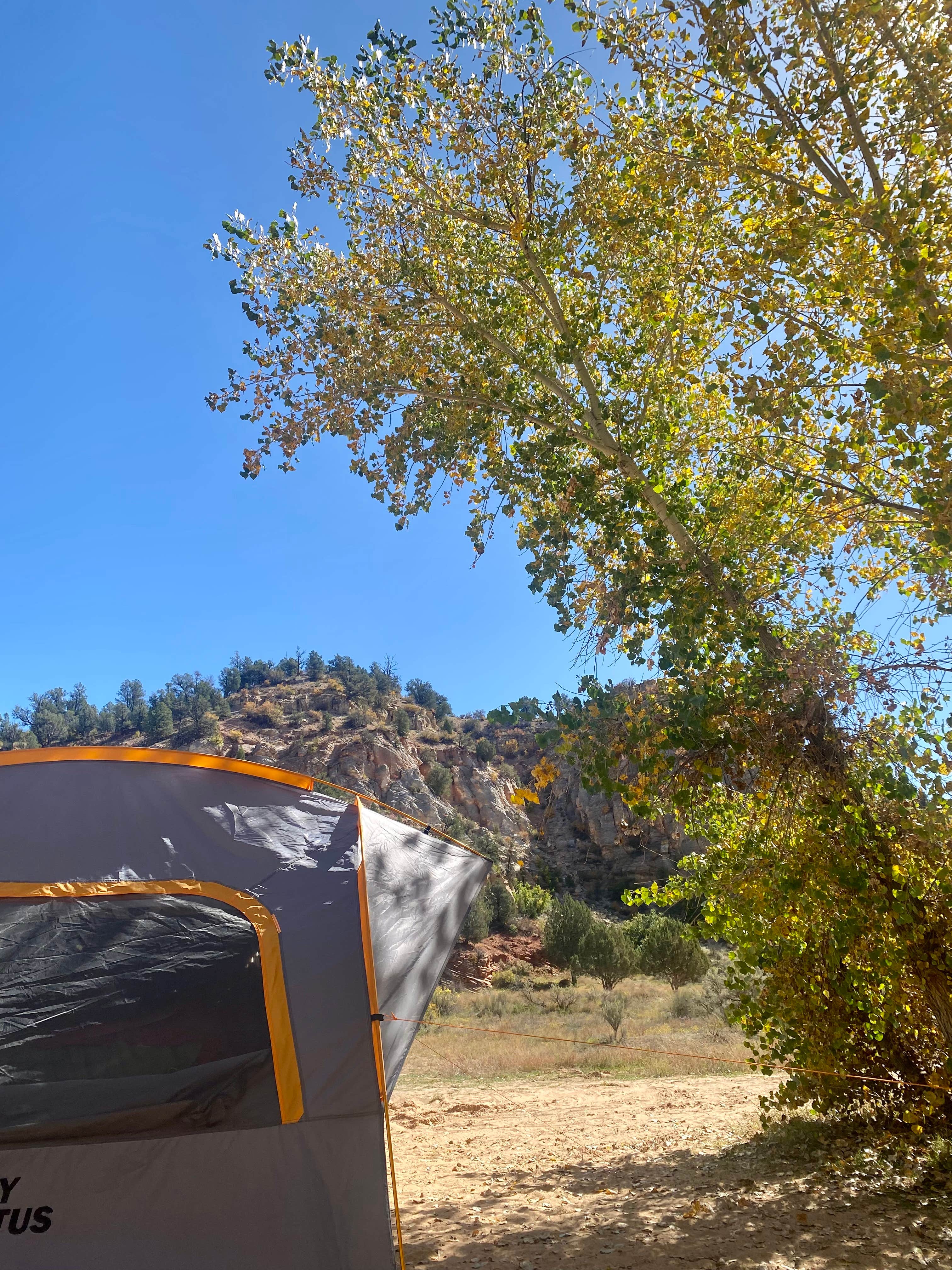 Tracy T.'s photo at Twin Hollows Canyon near Mount Carmel Junction, UT