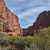 Review photo of Twin Hollows Canyon by Gary H., April 11, 2026