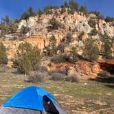 Review photo of Twin Hollows Canyon by Maya V., March 19, 2026