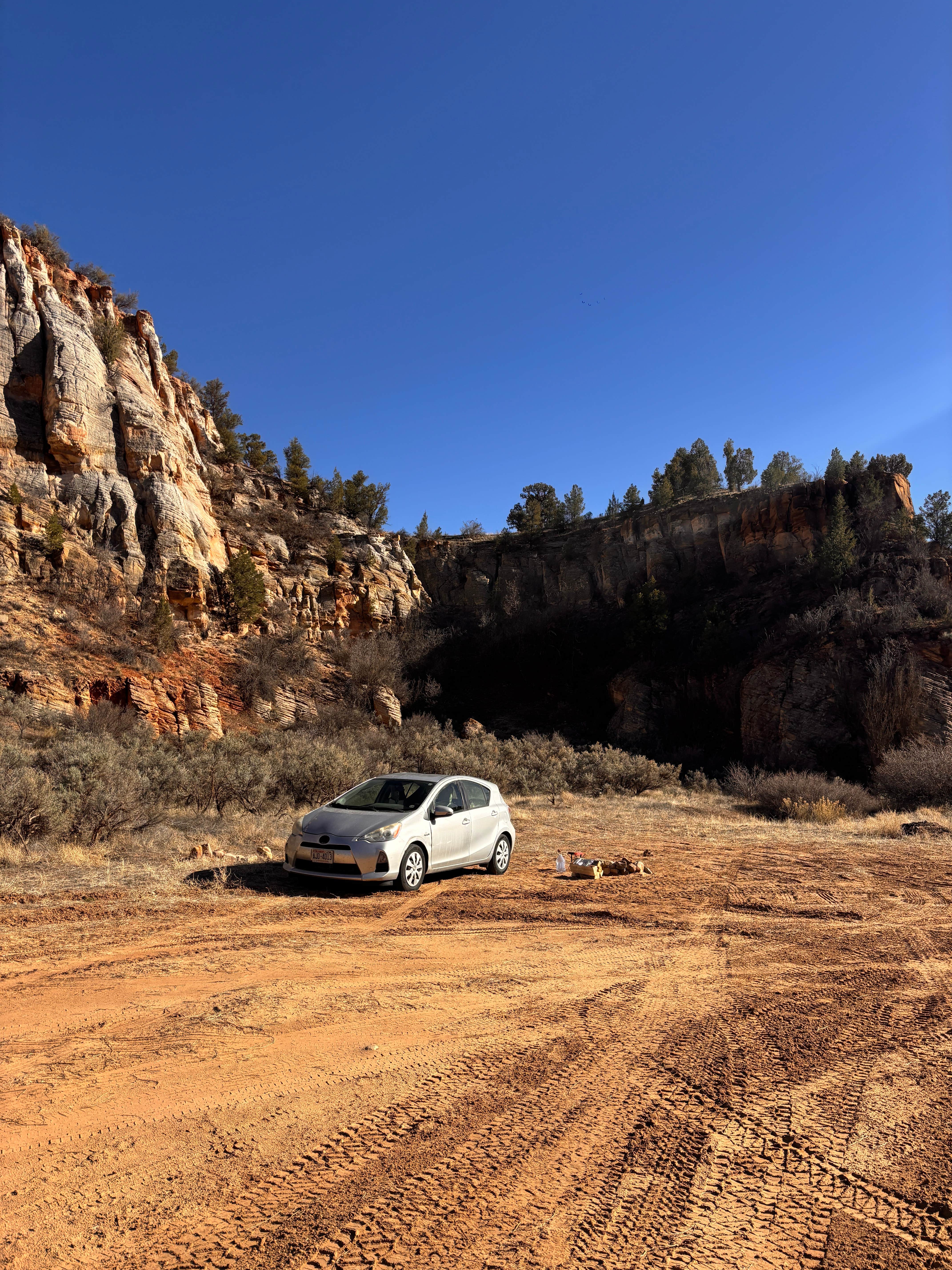 Abigail A.'s photo of camping with pets at Twin Hollows Canyon near Kanab, UT