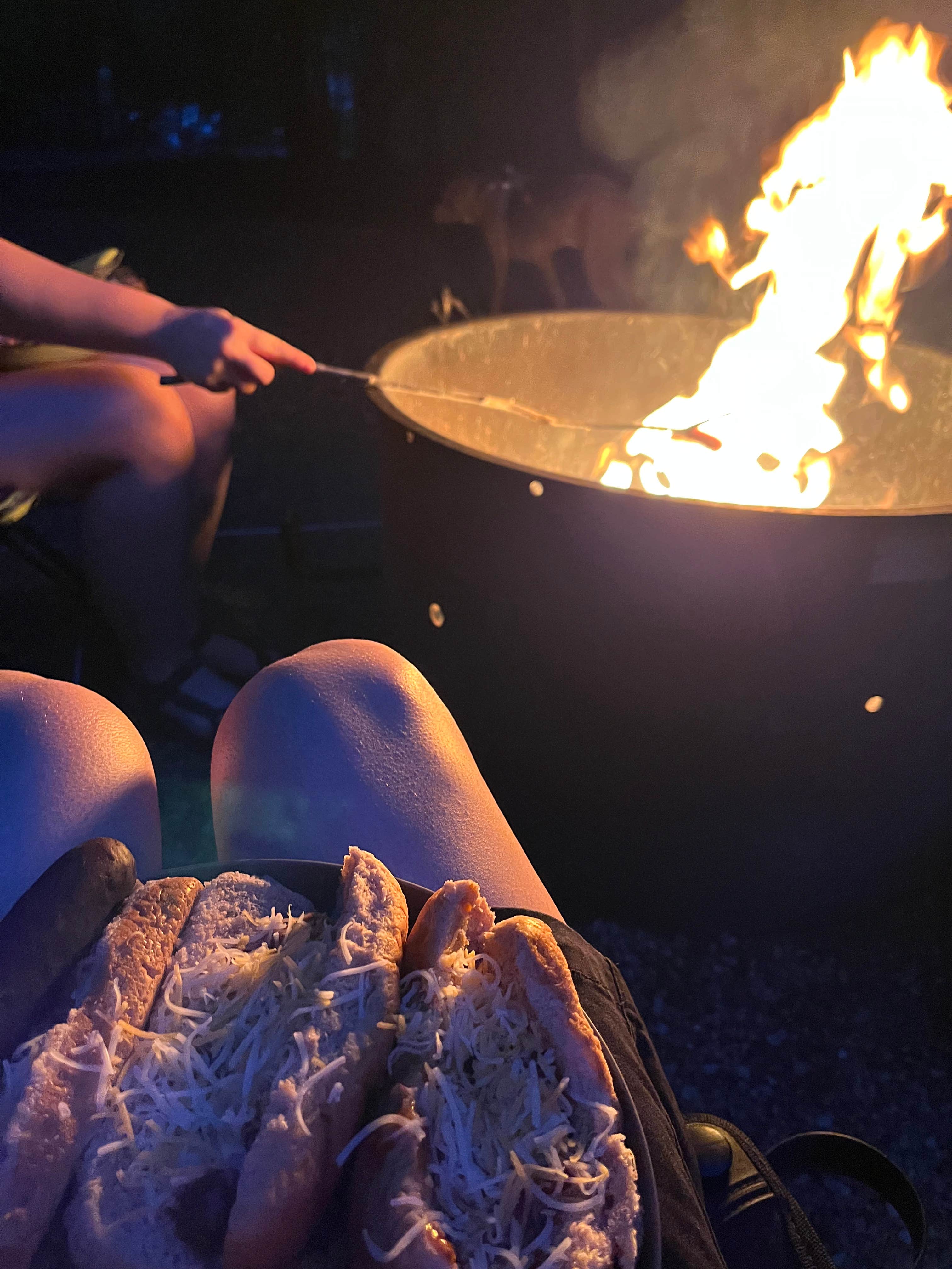 Paul K.'s photo of camping with pets at Twin Knobs Recreation Area near Clearfield, KY