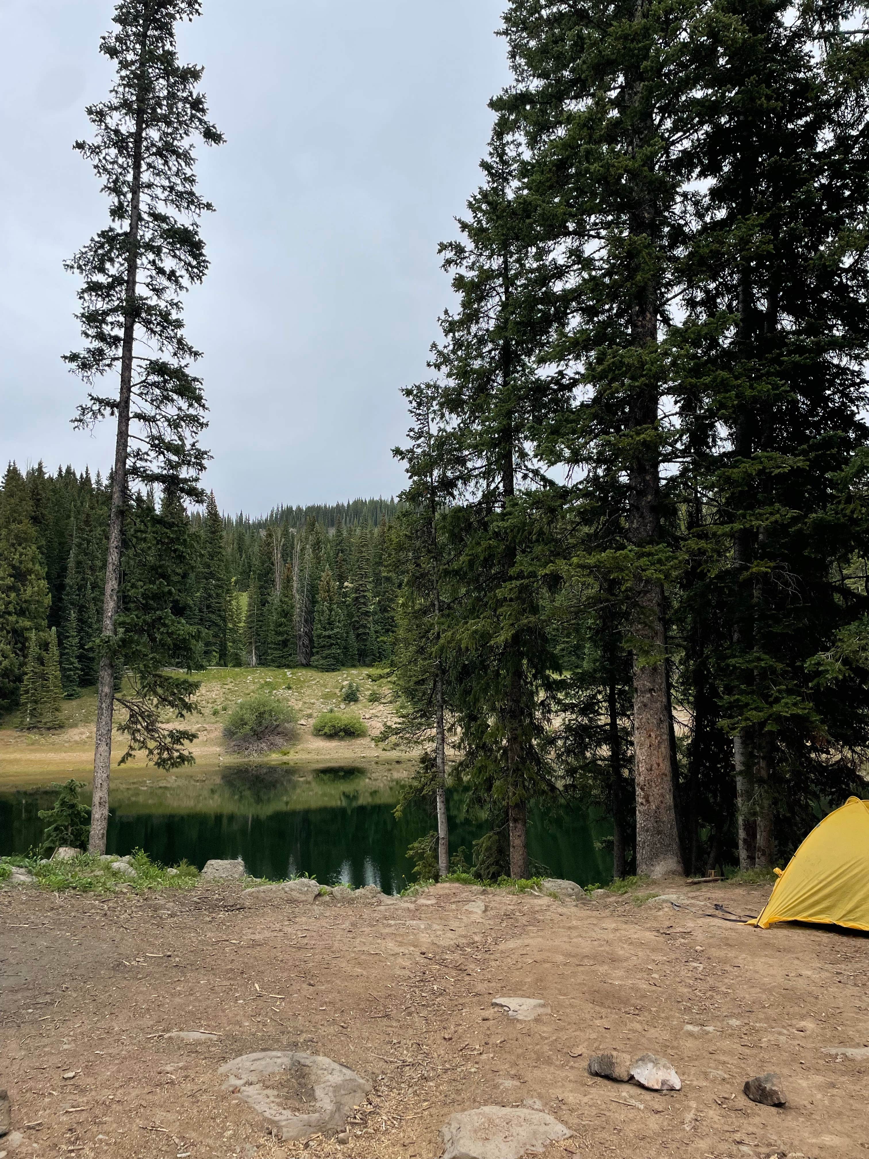 Camper-submitted photo at Twin Lake Dispersed Area - Grand Valley Rd near Collbran, CO