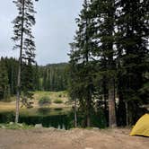 Review photo of Twin Lake Dispersed Area - Grand Valley Rd by Kat T., August 1, 2025