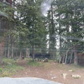Review photo of Twin Lake Dispersed Area - Grand Valley Rd by Kat T., August 1, 2025