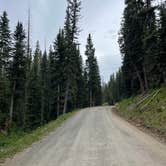 Review photo of Twin Lake Dispersed Area - Grand Valley Rd by Kat T., August 1, 2025