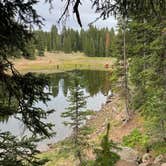 Review photo of Twin Lake Dispersed Area - Grand Valley Rd by Kat T., August 1, 2025