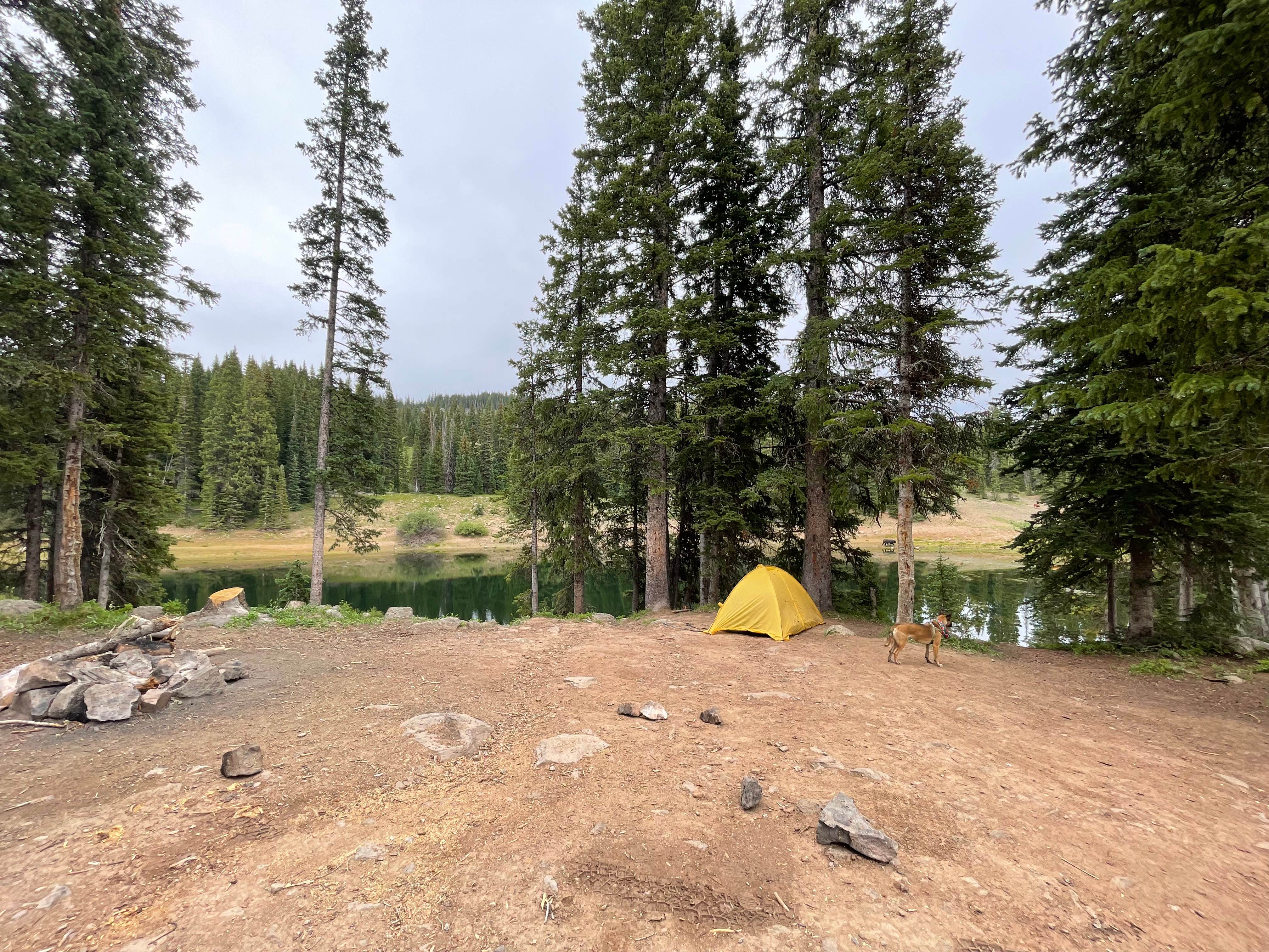 Camper-submitted photo at Twin Lake Dispersed Area - Grand Valley Rd near Collbran, CO