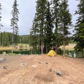 Review photo of Twin Lake Dispersed Area - Grand Valley Rd by Kat T., August 1, 2025