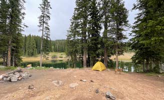 Kat T.'s photo at Twin Lake Dispersed Area - Grand Valley Rd near Paonia, CO