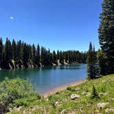 Review photo of Twin Lake Dispersed Area - Grand Valley Rd by Flannel Fabe .., July 20, 2024