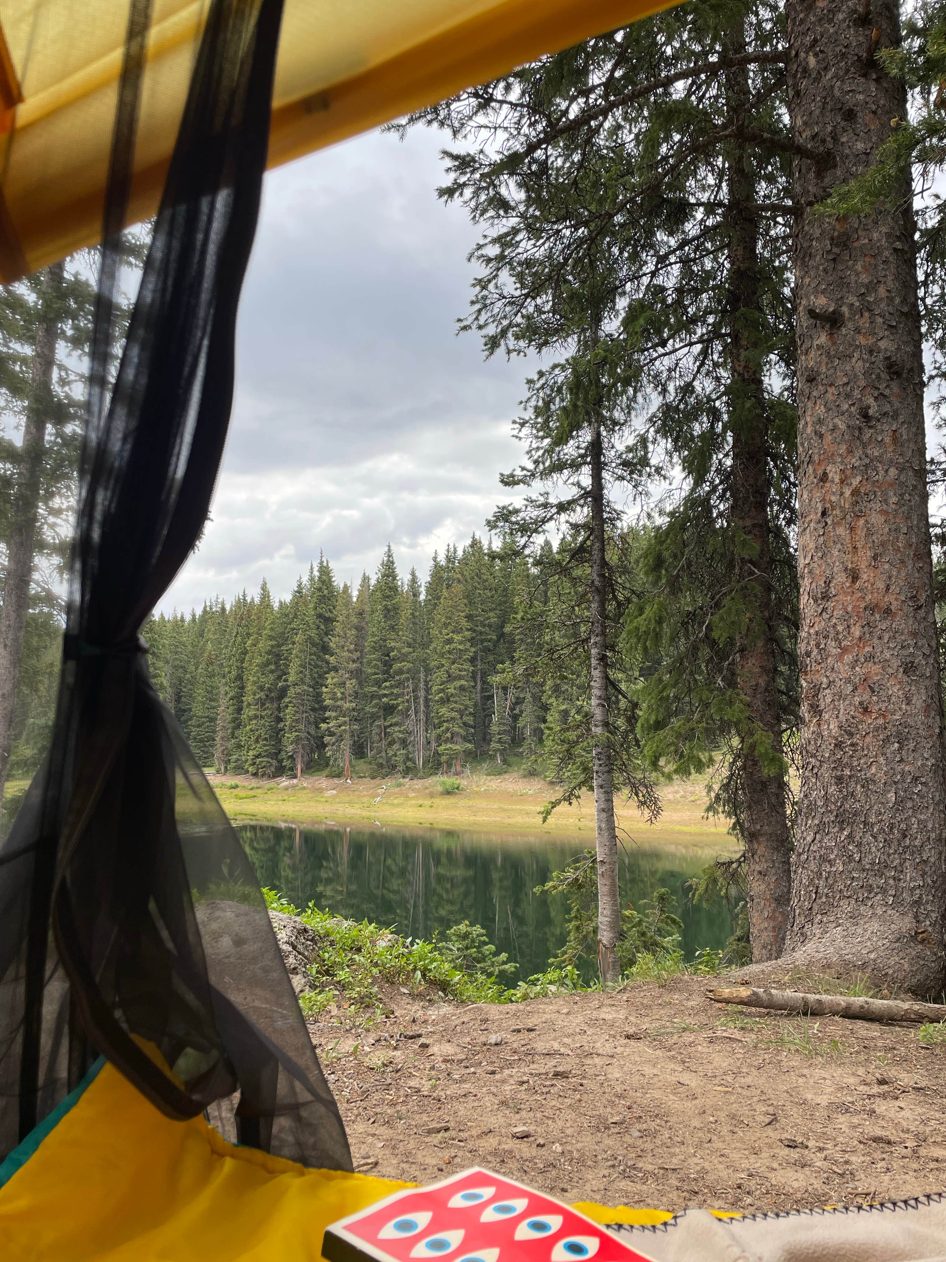 Camper-submitted photo at Twin Lake Dispersed Area - Grand Valley Rd near Collbran, CO