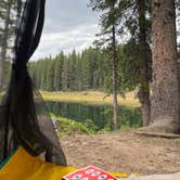 Review photo of Twin Lake Dispersed Area - Grand Valley Rd by Kat T., August 1, 2025