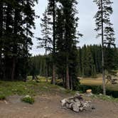 Review photo of Twin Lake Dispersed Area - Grand Valley Rd by Kat T., August 1, 2025