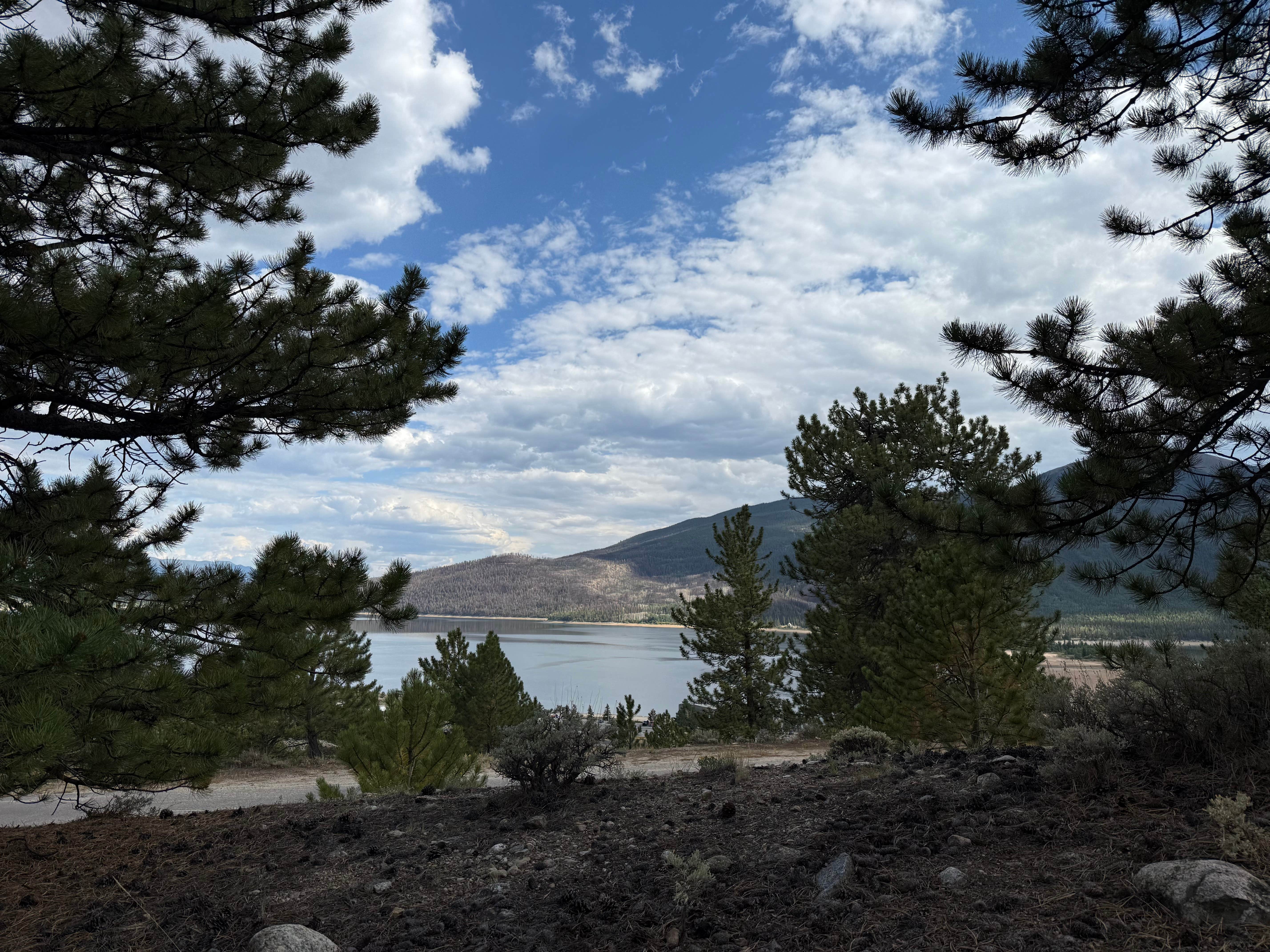 Camper submitted image from Twin Lakes Area North - 3