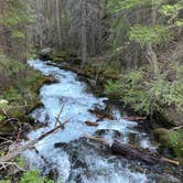 Review photo of Twin Lakes Cabin (MT) by Darin S., June 18, 2026