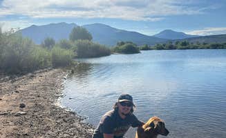Alyssa S.'s photo of camping with pets at Twin Lakes Dispersed near Granite, CO