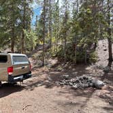 Review photo of Twin Lakes Dispersed by Nicole B., September 16, 2026