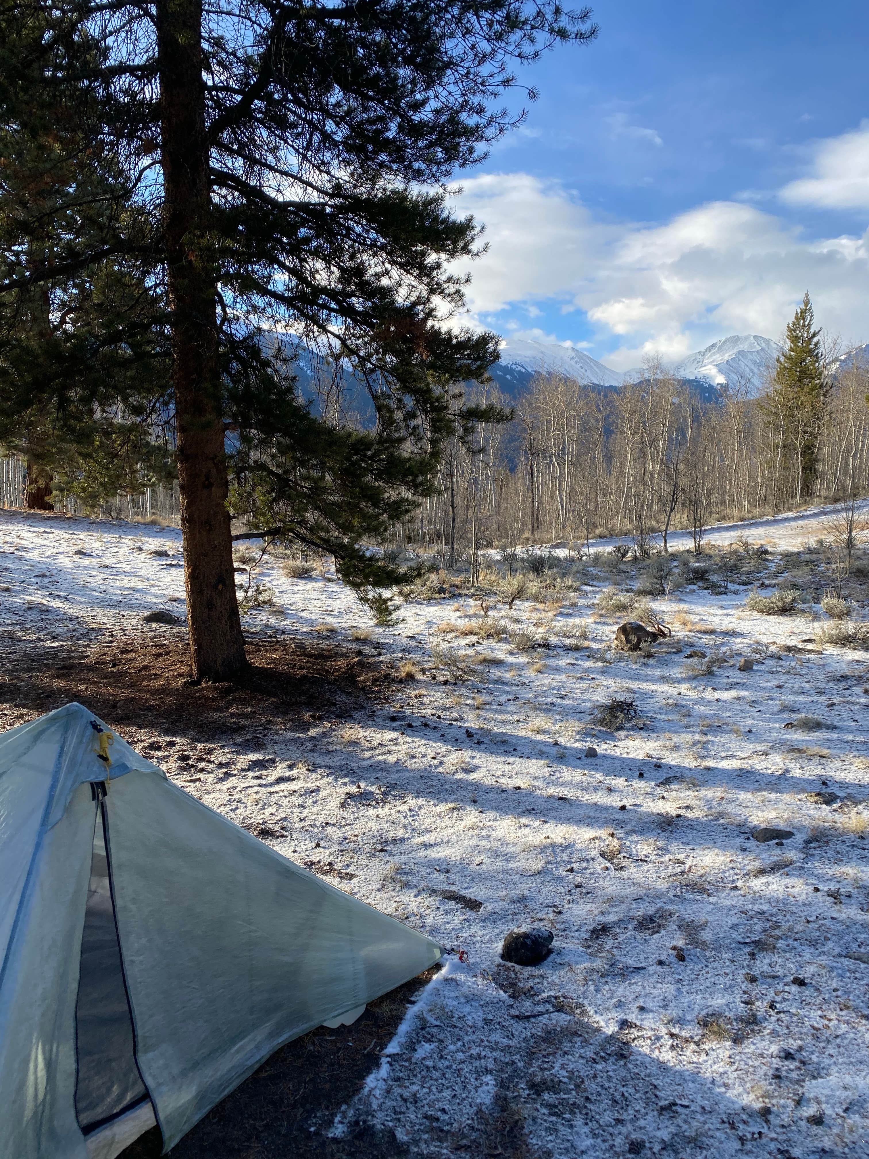 Camper submitted image from Twin Lakes Dispersed Camping - Site 1 West - 4