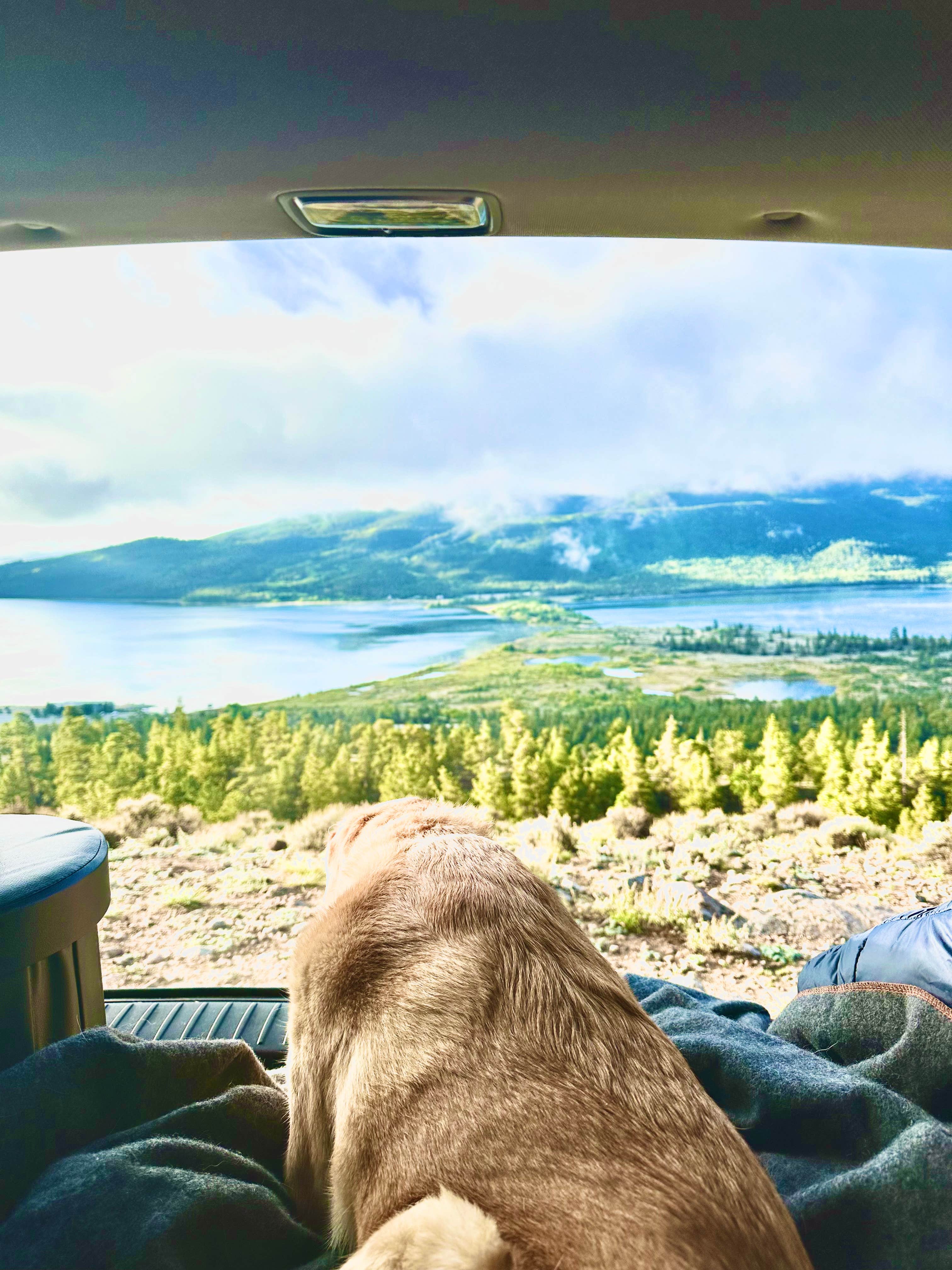 Linnell B.'s photo of camping with pets at Twin Lakes Dispersed Camping - Site 1 West near Leadville, CO