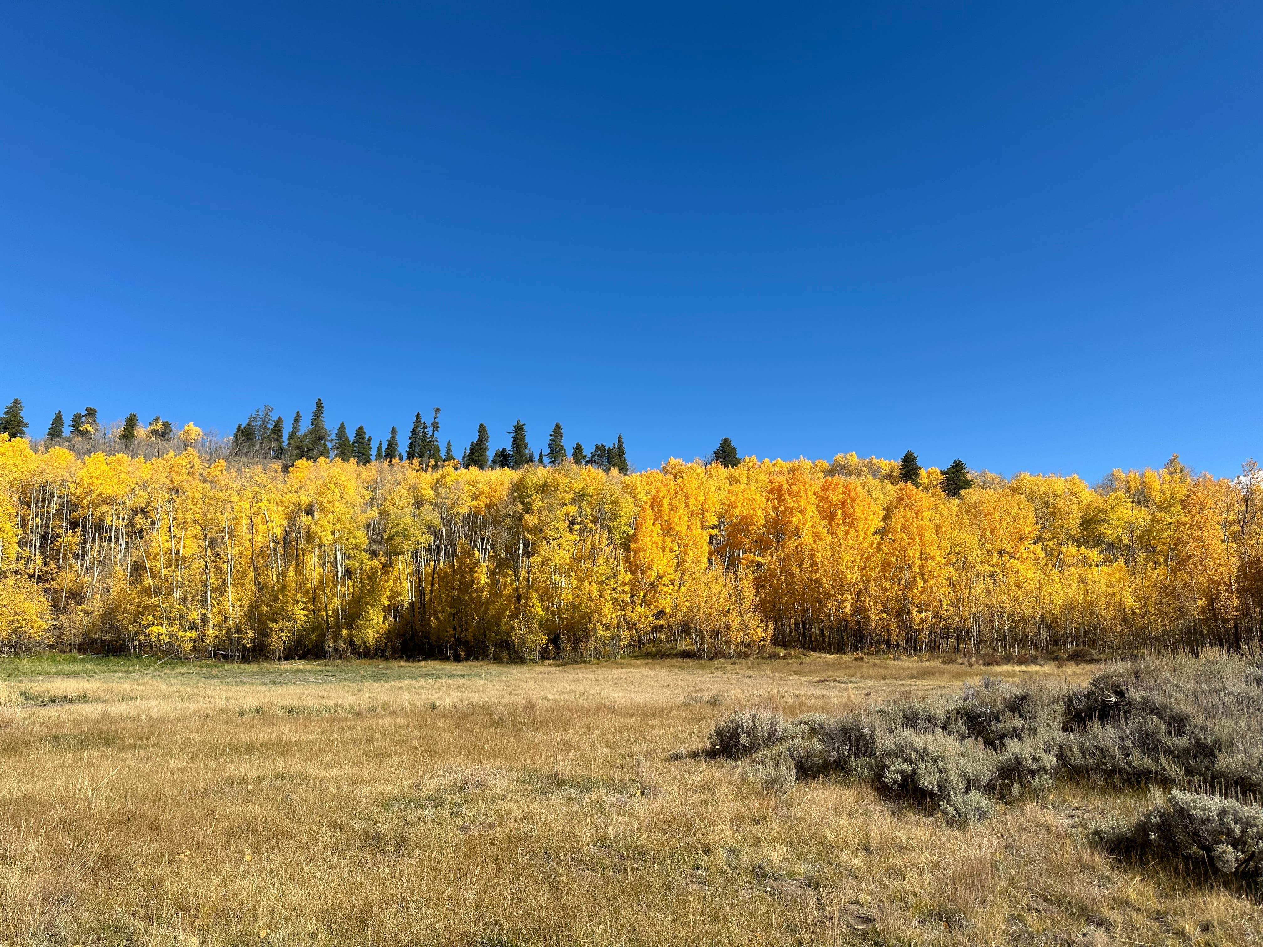 Dwight R.'s photo of a dispersed camping area at Twin Lakes Dispersed Camping - Site 2 West near Fairplay, CO