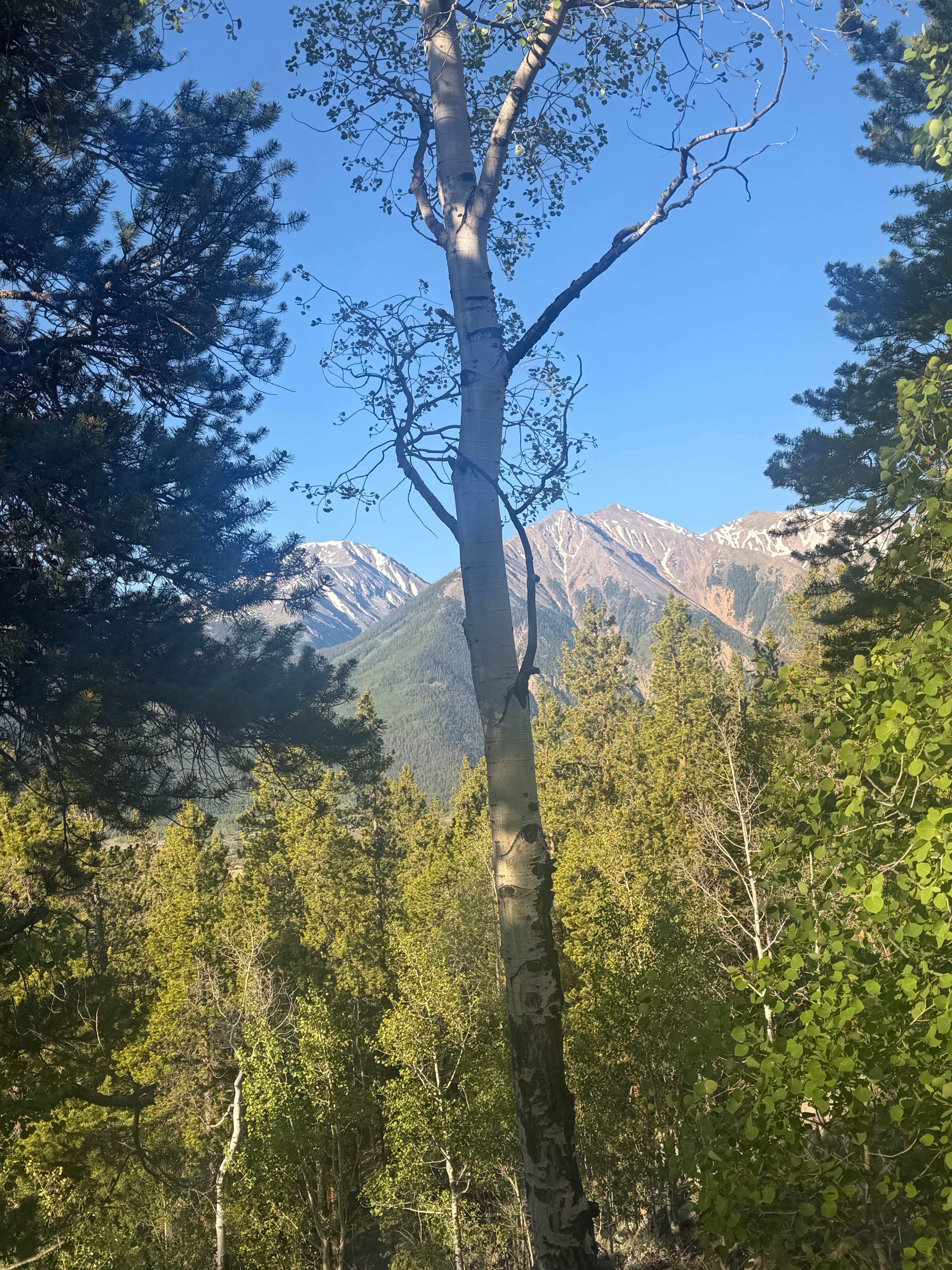 Camper-submitted photo at Twin Lakes Dispersed2 near Granite, CO