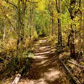 Review photo of Twin Peaks Dispersed Campground- Colorado by Marcos D. R., August 19, 2024