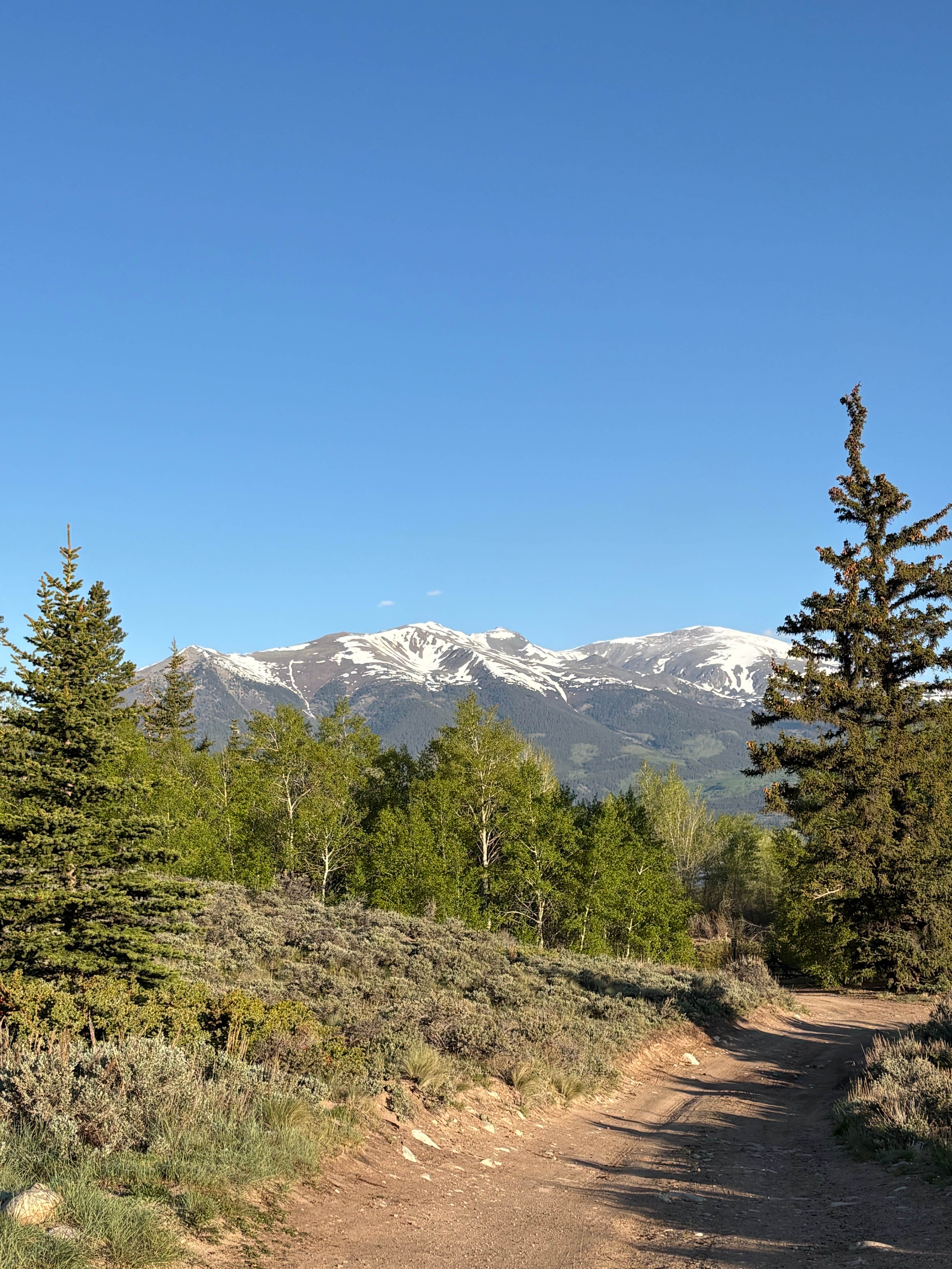 Camper submitted image from Twin Lakes Overlook Dispersed Camping - 2