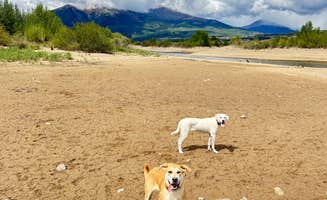 Alonso O.'s photo of camping with pets at Twin Lakes Overlook Dispersed Camping near Granite, CO