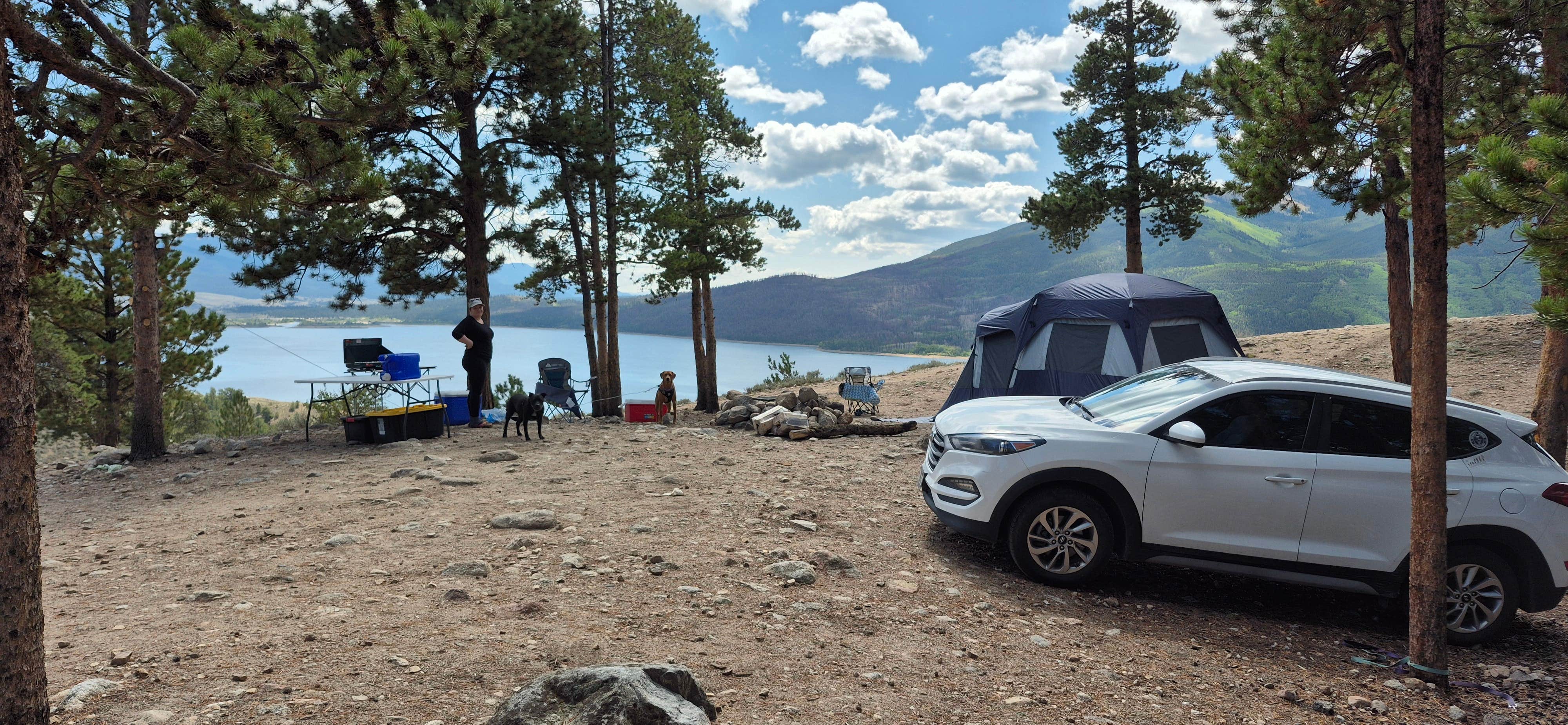 Josh S.'s photo of camping with pets at Twin Lakes Up Hill Dispersed near Leadville, CO
