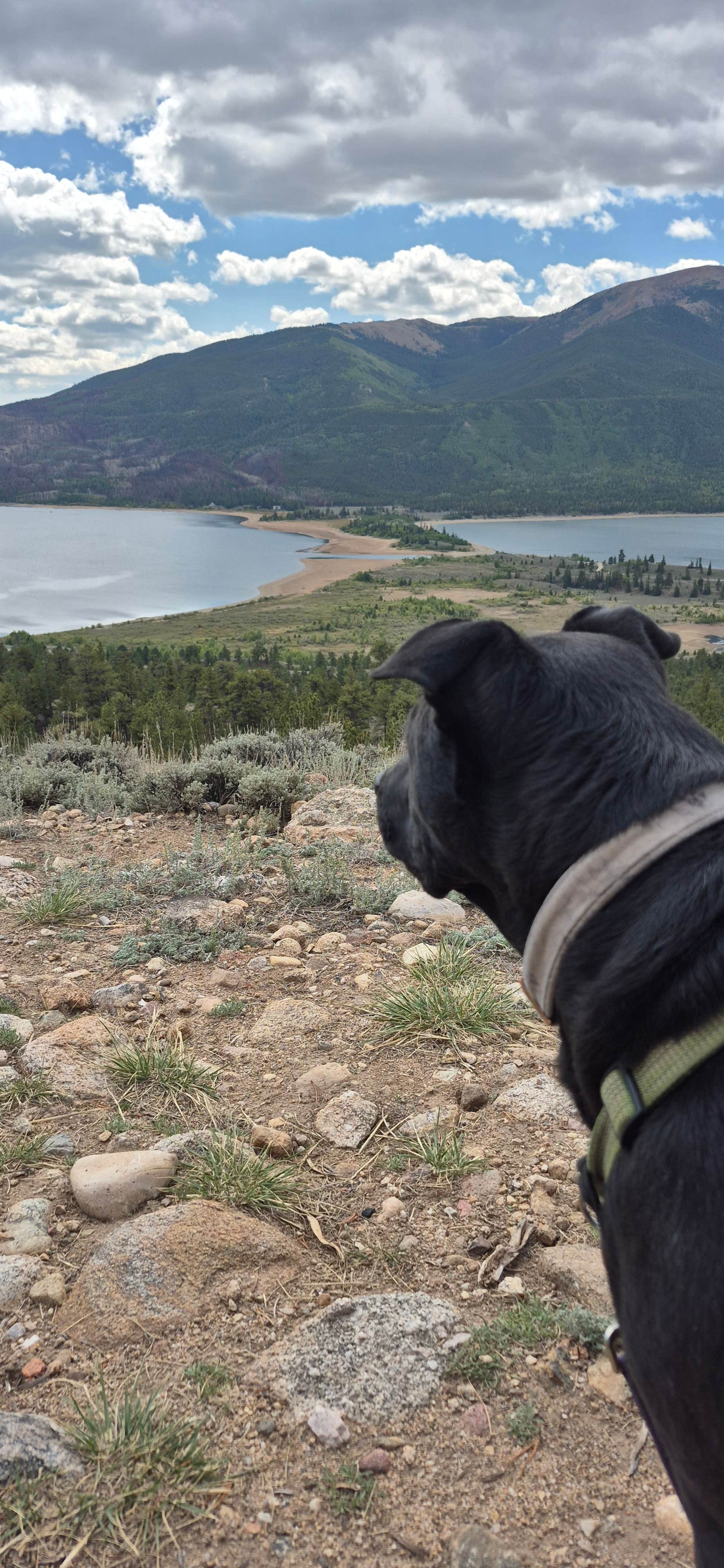 Camper submitted image from Twin Lakes Up Hill Dispersed - 5