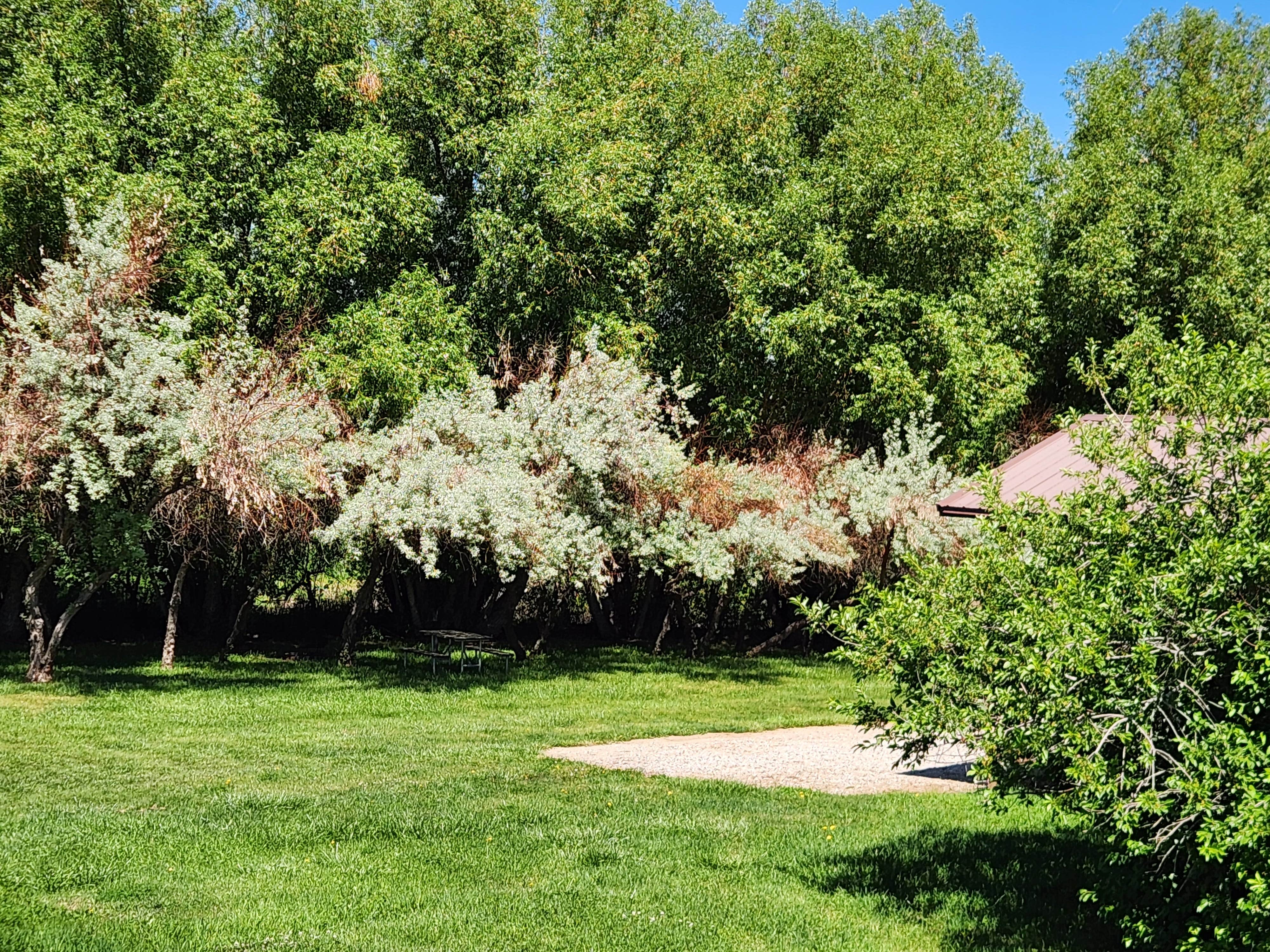 Camping near Hart Ranch Hideout RV Park: Twin Pines RV Park and Campground, Lander, Wyoming