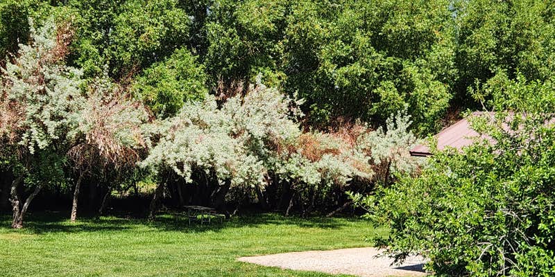 Camper submitted image from Twin Pines RV Park and Campground