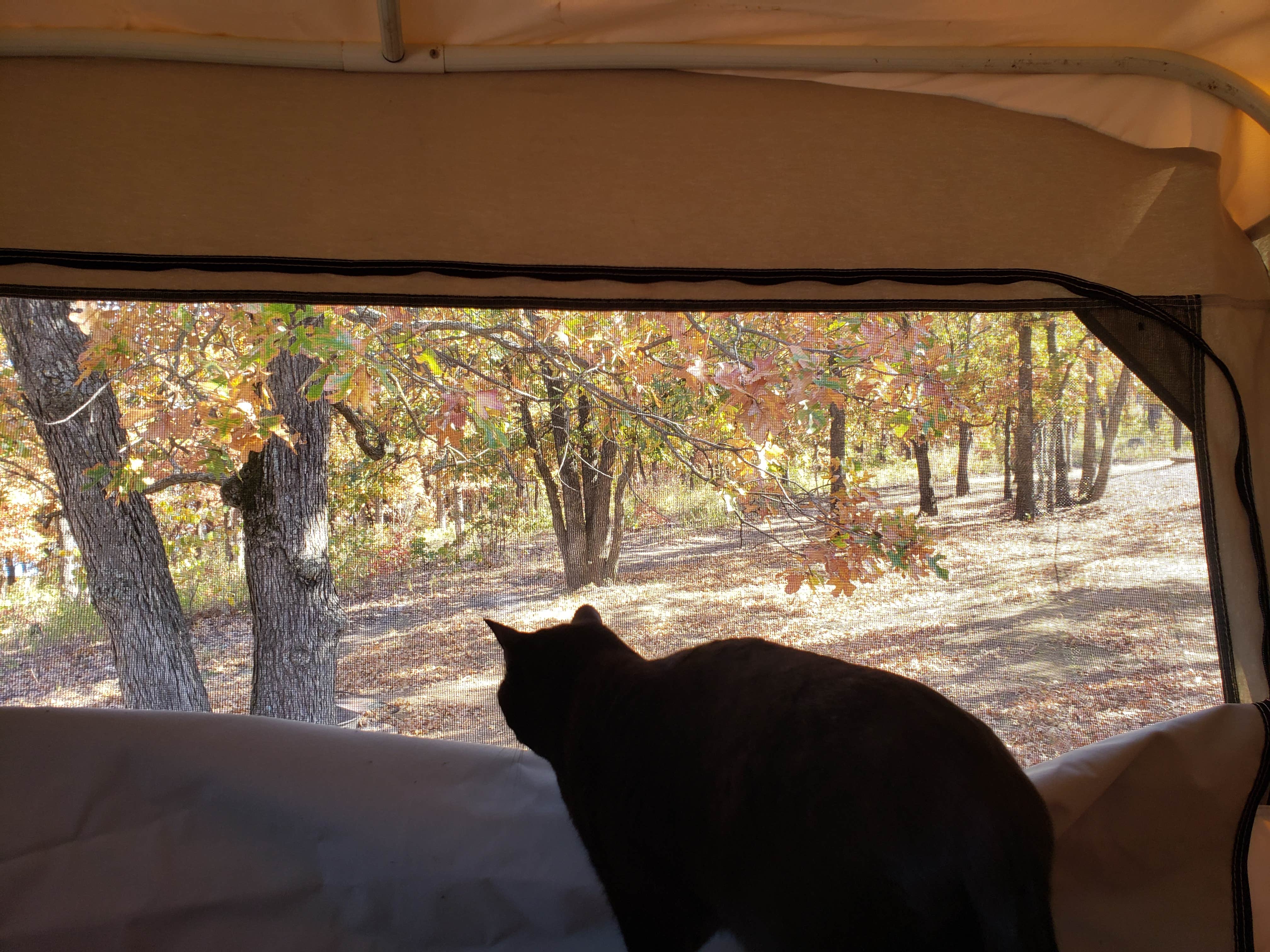 Kent A.'s photo at COE Lake Skiatook Twin Points near Mannford, OK