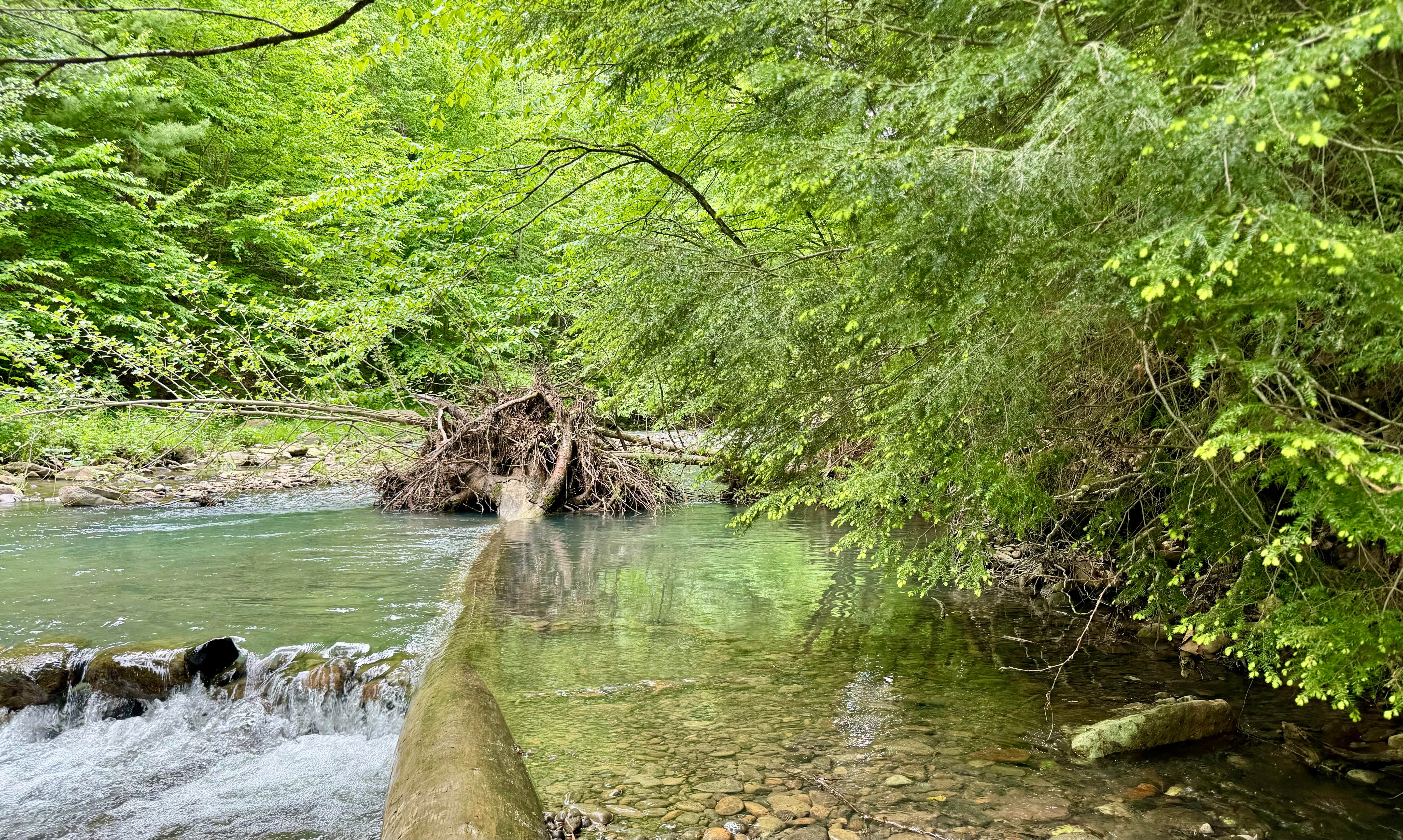 Twin Streams Campground | Cedar Run, Pennsylvania
