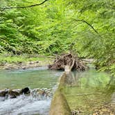 Review photo of Twin Streams Campground by Paulina B., June 4, 2024