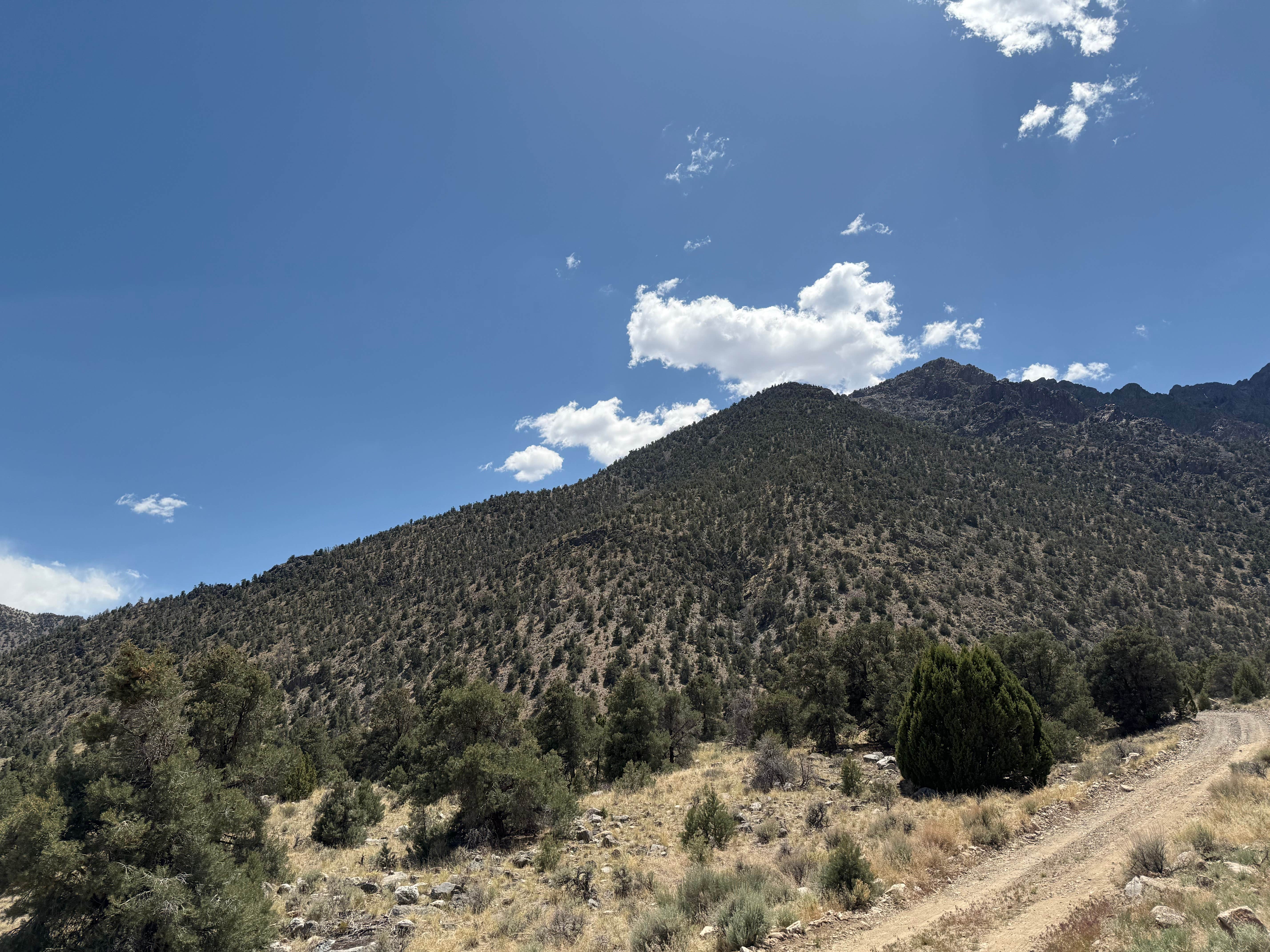Camper-submitted photo at Twin Trailhead Camp near Round Mountain, NV