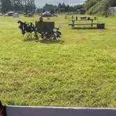 Review photo of Twins Ranch LLC by Cinthya M., July 10, 2026