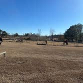 Review photo of Two Horse Wagon RV Park by victoria C., February 13, 2026