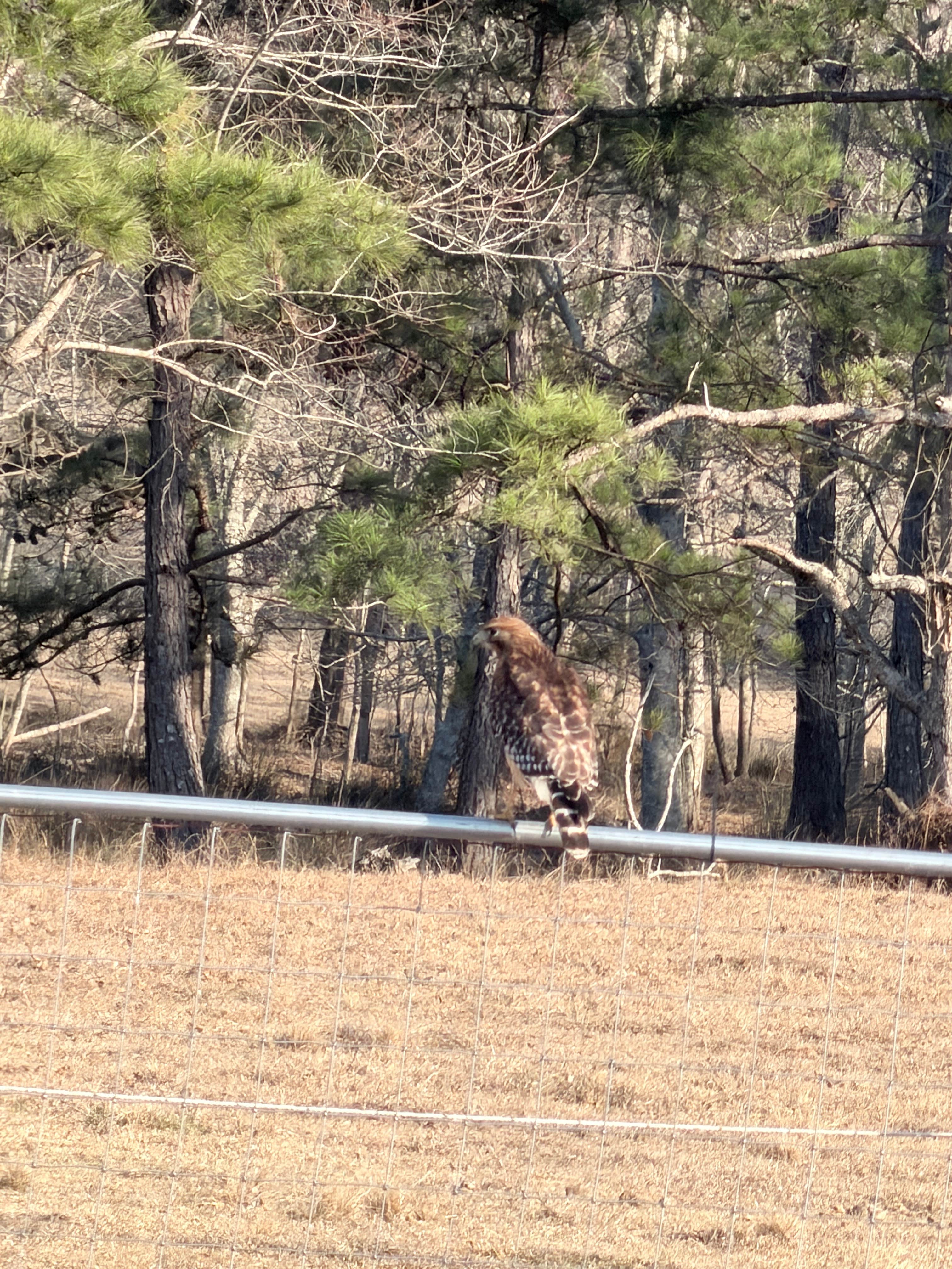 Camper-submitted photo at Two Horse Wagon RV Park near Alamo, GA