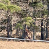 Review photo of Two Horse Wagon RV Park by victoria C., February 13, 2026