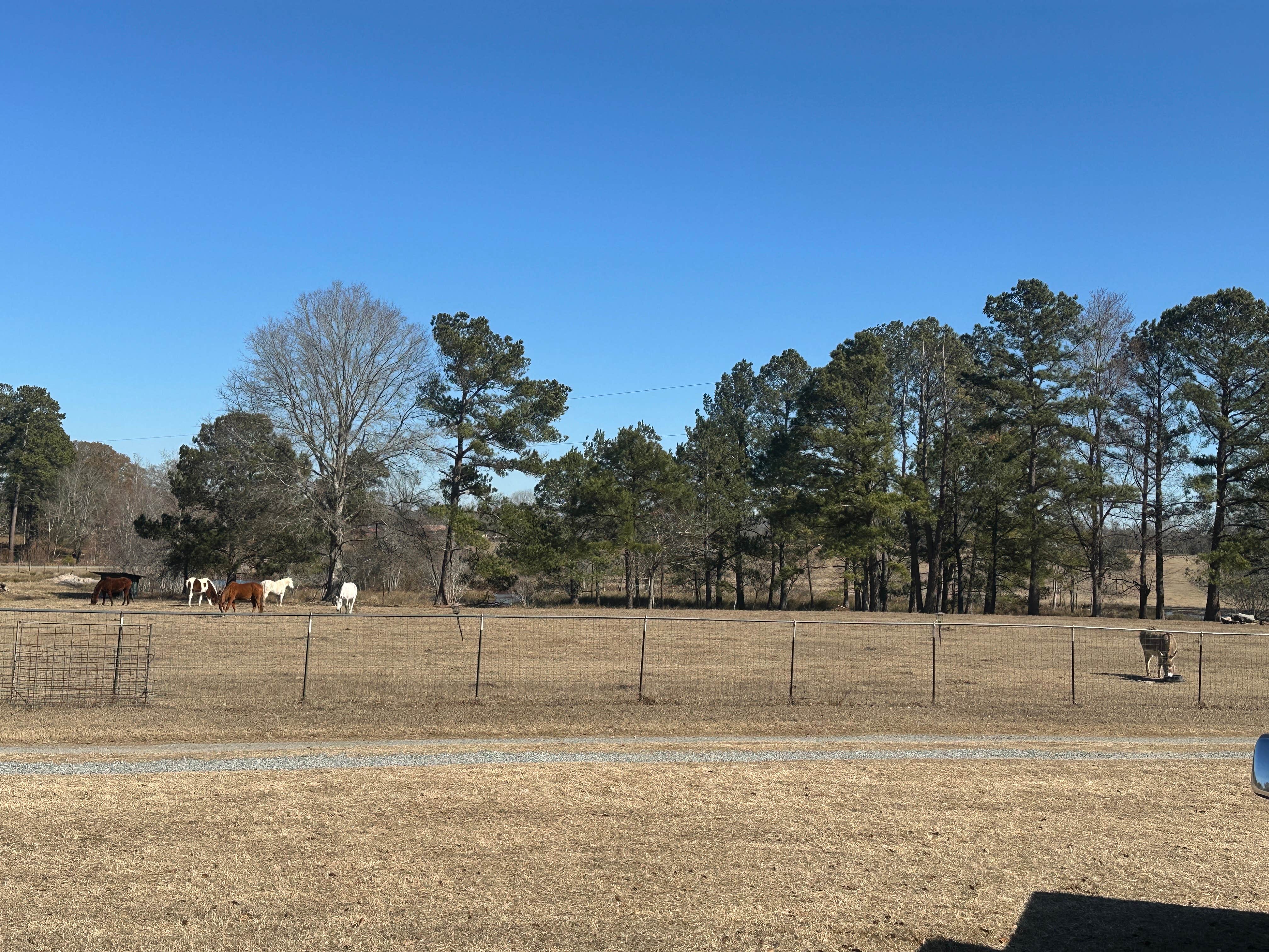 Camping near Jellystone Park™ Cochran: Two Horse Wagon RV Park, Dublin, Georgia