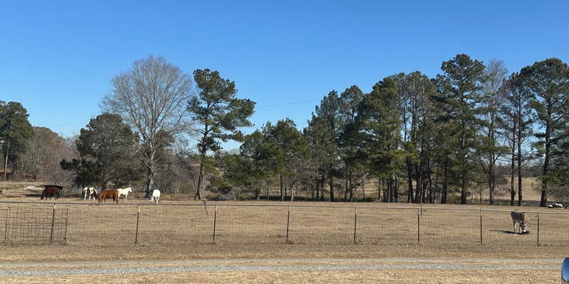 Camper submitted image from Two Horse Wagon RV Park