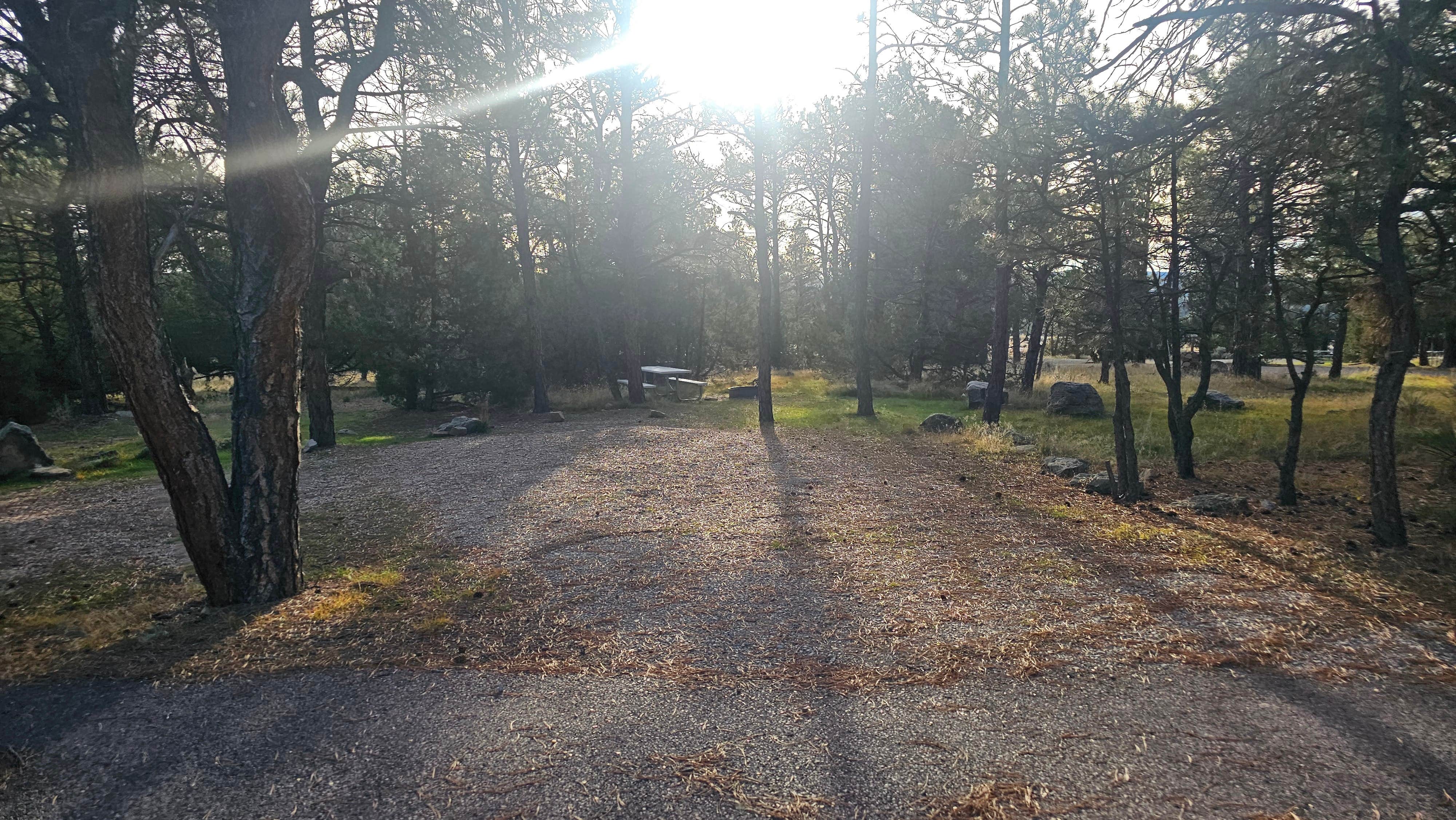Camper submitted image from Two Moon — Glendo State Park - 2
