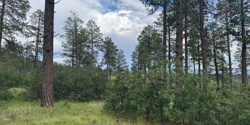 Camper submitted image from Two Springs Camp